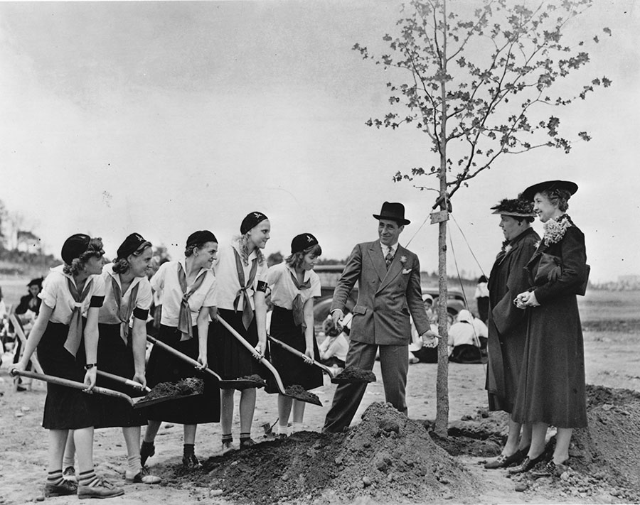 Group of People Planting a Tree