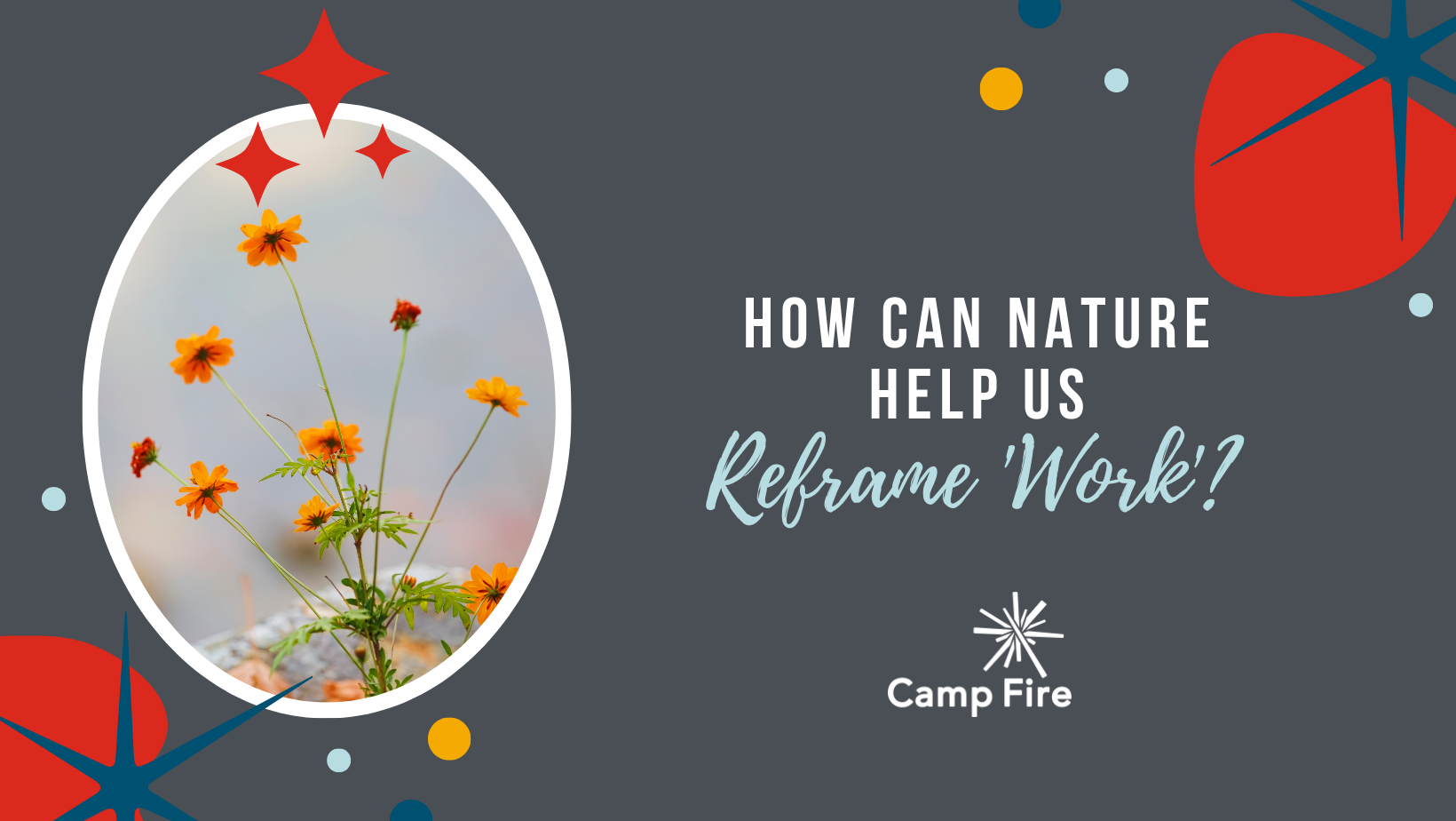 How Can Nature Help Us Reframe 'Work'?, a Camp Fire blog